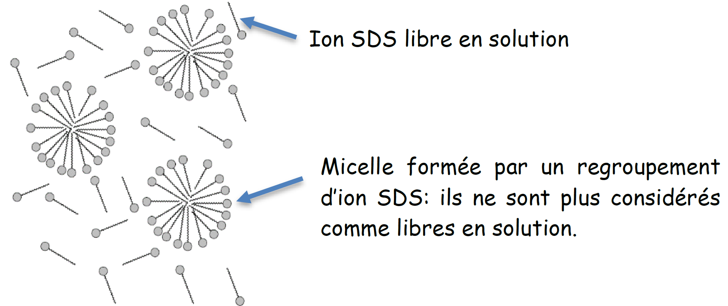 micelle