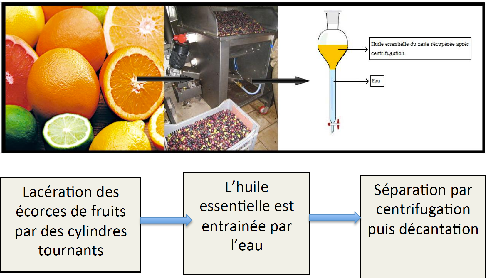 Expression des agrumes