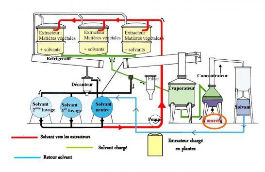 Extraction au solvant industriel