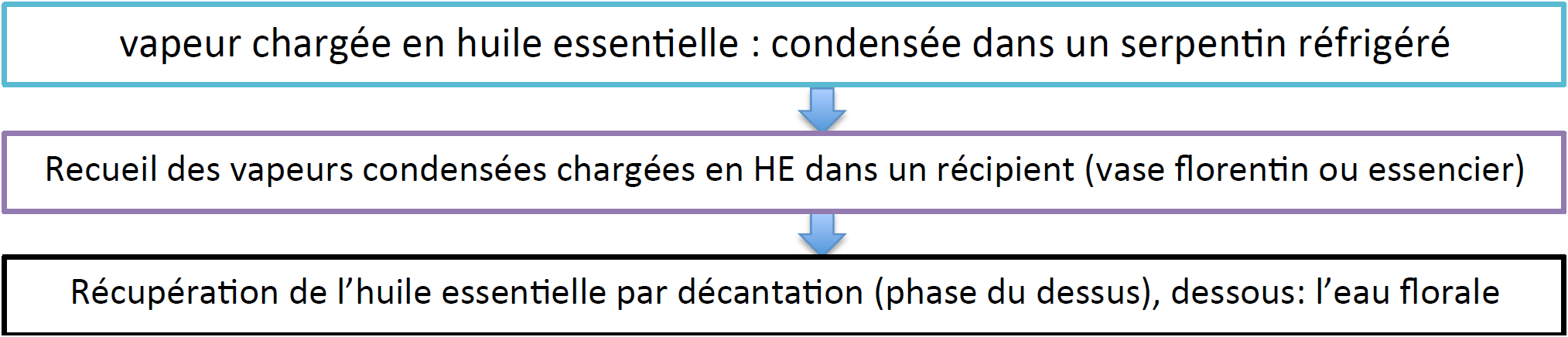 Hydrodistillation - étapes