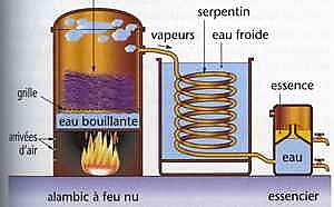 Hydrodistillation - alambic